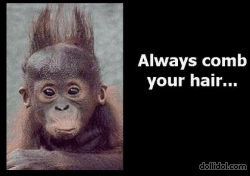 always_comb.gif
