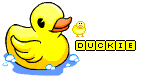 duckie.gif