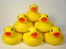 ducktower.jpg