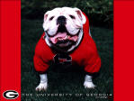 uga.jpg